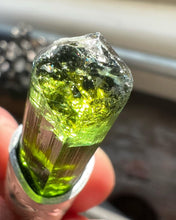 Green Tourmaline Arroyo Talisman Necklace