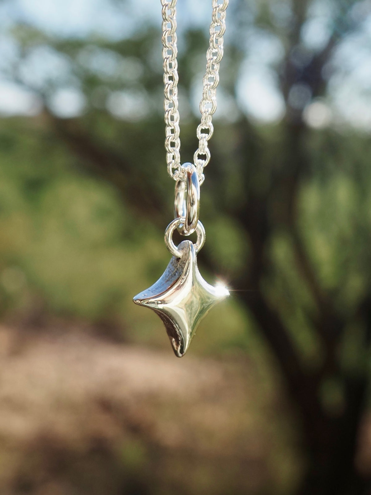 Pre ✦ Order Sparkle Star