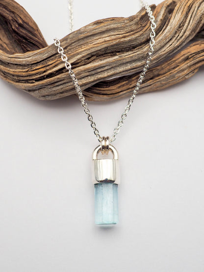 Gem Vanadium Beryl Talisman Necklace