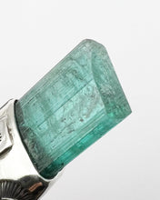 Blue Tourmaline Eye/Fan Talisman Necklace