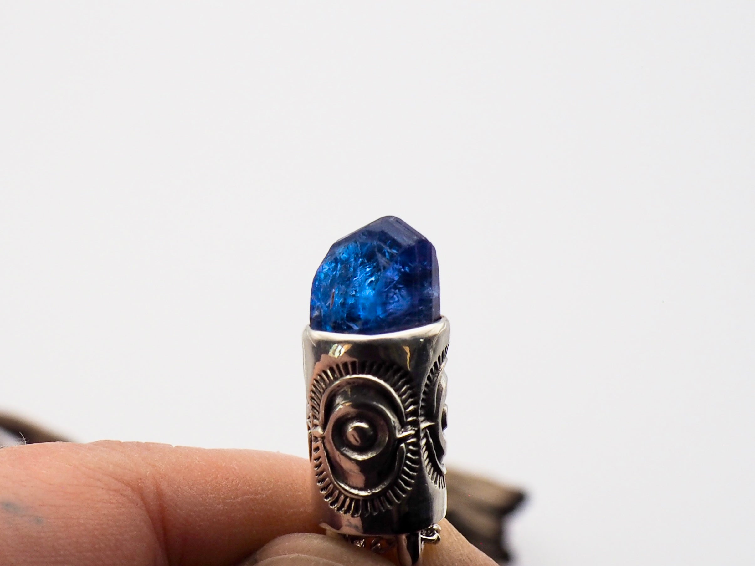Tanzanite Tumbleweed Talisman Necklace