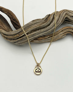 14k Gold Lucky Raincloud Pendant Necklace (B)