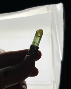 Green Tourmaline Oasis Talisman Necklace